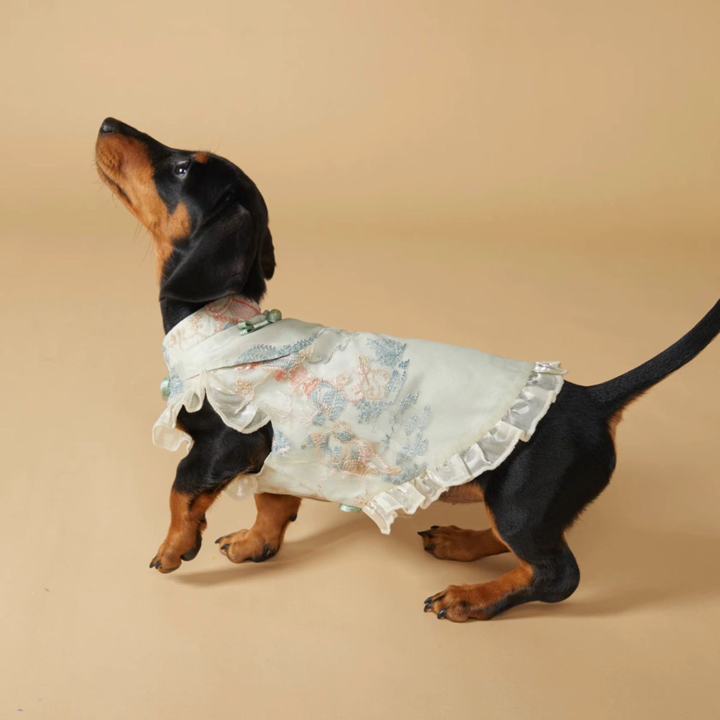 Alicia Chinese Cheongsam Qipao Dress for Dogs and Cats - Sleeveless Silk Brocade with Oriental Button Knots